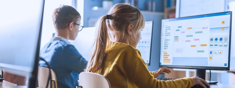 Student Uses Computer, Learning Programming.